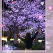 ヒメ日記 2026/04/07 03:26 投稿 美神 咲 人妻セレブ宮殿