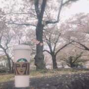 ヒメ日記 2026/04/07 03:32 投稿 美神 咲 人妻セレブ宮殿