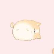 ヒメ日記 2025/12/02 09:31 投稿 かなで KUROKIN-黒い金魚Ⅱ-