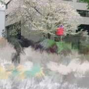 ヒメ日記 2026/04/06 20:36 投稿 まいか 東京妻next