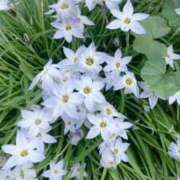 ヒメ日記 2026/04/07 14:56 投稿 まいか 東京妻next