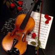 まいか ( ・´ω｀・p[口コミありがと]q🐜 東京妻next