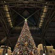 ヒメ日記 2024/12/22 20:27 投稿 かおり Spa Allure（スパアリュール）