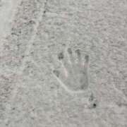 ヒメ日記 2025/02/18 05:17 投稿 こはる ごほうびSPA仙台店