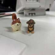 ヒメ日記 2025/04/17 05:17 投稿 こはる ごほうびSPA仙台店