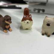 ヒメ日記 2025/05/16 15:17 投稿 こはる ごほうびSPA仙台店