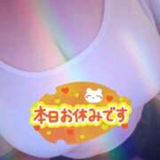 ヒメ日記 2025/11/17 21:53 投稿 ゆきね One More 奥様　錦糸町店