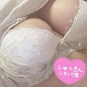 ゆきね しゅっきん♪ One More 奥様　錦糸町店