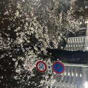 ヒメ日記 2025/03/31 15:39 投稿 ちどり 大塚 虹いろ回春