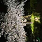 ヒメ日記 2025/04/08 11:28 投稿 ちどり 大塚 虹いろ回春