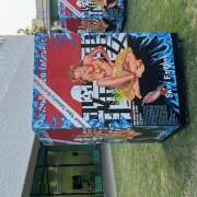 ヒメ日記 2025/12/05 22:22 投稿 ちどり 大塚 虹いろ回春