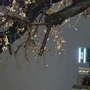 ヒメ日記 2026/03/23 10:34 投稿 ちどり 大塚 虹いろ回春