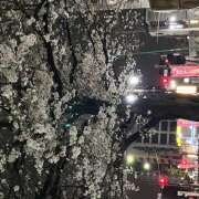 ヒメ日記 2026/04/07 09:53 投稿 ちどり 大塚 虹いろ回春