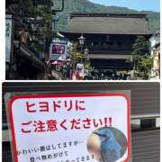ヒメ日記 2026/05/21 11:38 投稿 ちどり 大塚 虹いろ回春
