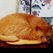 ヒメ日記 2025/06/25 12:09 投稿 愛花 昼顔妻 五反田店