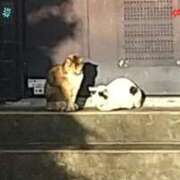 ヒメ日記 2025/12/28 12:26 投稿 愛花 昼顔妻 五反田店