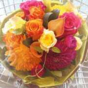 ヒメ日記 2026/04/12 13:36 投稿 愛花 昼顔妻 五反田店