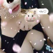 ヒメ日記 2025/09/24 17:24 投稿 桃瀬 モアグループ西川口人妻城