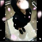 ヒメ日記 2026/01/22 20:31 投稿 桃瀬 モアグループ西川口人妻城