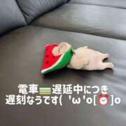 ヒメ日記 2026/01/23 17:42 投稿 桃瀬 モアグループ西川口人妻城