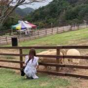 ヒメ日記 2026/04/03 03:48 投稿 みみ PHANTOM(ファントム)