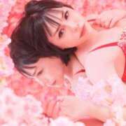 ヒメ日記 2025/04/03 23:06 投稿 白雪由夏 プレジデントクラブ