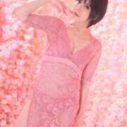 ヒメ日記 2025/04/12 09:02 投稿 白雪由夏 プレジデントクラブ