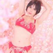 ヒメ日記 2025/04/18 12:27 投稿 白雪由夏 プレジデントクラブ