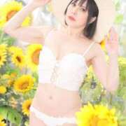 ヒメ日記 2025/04/19 19:04 投稿 白雪由夏 プレジデントクラブ