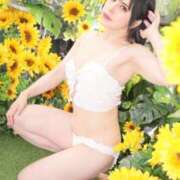 ヒメ日記 2025/04/22 11:42 投稿 白雪由夏 プレジデントクラブ