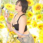 ヒメ日記 2025/08/13 23:08 投稿 白雪由夏 プレジデントクラブ