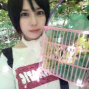 ヒメ日記 2025/09/09 12:36 投稿 白雪由夏 プレジデントクラブ