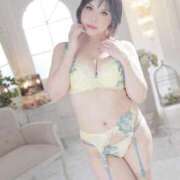 ヒメ日記 2025/12/29 07:42 投稿 白雪由夏 プレジデントクラブ