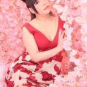 ヒメ日記 2026/03/11 09:30 投稿 白雪由夏 プレジデントクラブ