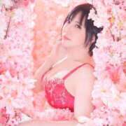 ヒメ日記 2026/03/14 08:16 投稿 白雪由夏 プレジデントクラブ