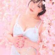 ヒメ日記 2026/03/17 22:50 投稿 白雪由夏 プレジデントクラブ