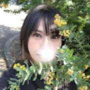 ヒメ日記 2026/03/22 11:00 投稿 白雪由夏 プレジデントクラブ