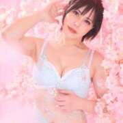 ヒメ日記 2026/03/31 09:42 投稿 白雪由夏 プレジデントクラブ