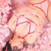 ヒメ日記 2026/04/05 07:54 投稿 白雪由夏 プレジデントクラブ