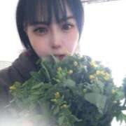 ヒメ日記 2026/04/08 14:35 投稿 白雪由夏 プレジデントクラブ