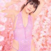 ヒメ日記 2026/04/19 09:12 投稿 白雪由夏 プレジデントクラブ