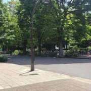 ヒメ日記 2026/04/26 12:44 投稿 白雪由夏 プレジデントクラブ