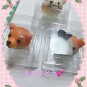 さら ありがとうございました。 奥様の実話 谷九店