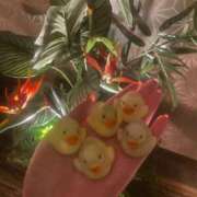 ヒメ日記 2024/12/13 19:38 投稿 千里丘まい THE痴漢電車.com