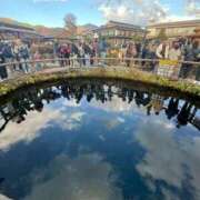 ヒメ日記 2025/11/22 14:54 投稿 千里丘まい THE痴漢電車.com