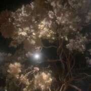 ヒメ日記 2025/11/25 17:35 投稿 千里丘まい THE痴漢電車.com