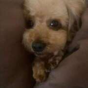 ヒメ日記 2026/02/19 00:13 投稿 千里丘まい THE痴漢電車.com