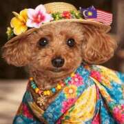 ヒメ日記 2026/03/27 13:14 投稿 千里丘まい THE痴漢電車.com