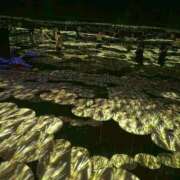 ヒメ日記 2025/11/15 11:02 投稿 里田まい 全裸美女からのカゲキな誘惑