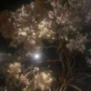 ヒメ日記 2025/11/25 17:17 投稿 里田まい 全裸美女からのカゲキな誘惑